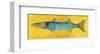 Great Barracuda-John W^ Golden-Framed Art Print