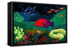 Great Barrier Reef, Australia-John Newcomb-Framed Stretched Canvas