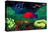 Great Barrier Reef, Australia-John Newcomb-Stretched Canvas
