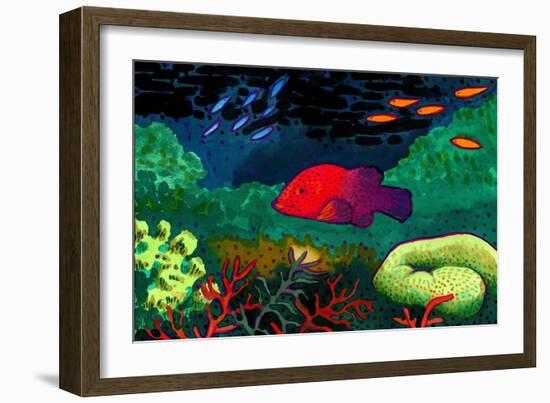 Great Barrier Reef, Australia-John Newcomb-Framed Giclee Print