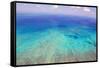 Great Barrier Reef, Cairns Australia, Seen from Above-dzain-Framed Stretched Canvas