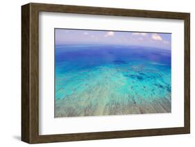 Great Barrier Reef, Cairns Australia, Seen from Above-dzain-Framed Photographic Print