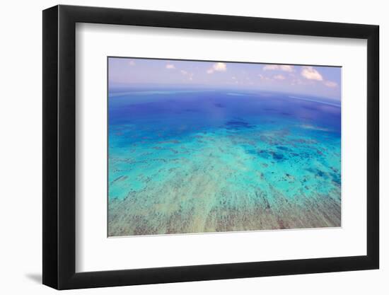 Great Barrier Reef, Cairns Australia, Seen from Above-dzain-Framed Photographic Print