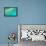 Great Barrier Reef I-Larry Malvin-Framed Stretched Canvas displayed on a wall