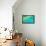 Great Barrier Reef I-Larry Malvin-Framed Stretched Canvas displayed on a wall