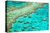 Great Barrier Reef I-Larry Malvin-Stretched Canvas