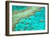 Great Barrier Reef I-Larry Malvin-Framed Photographic Print