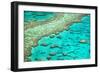 Great Barrier Reef I-Larry Malvin-Framed Photographic Print