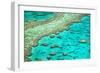 Great Barrier Reef I-Larry Malvin-Framed Photographic Print