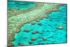 Great Barrier Reef I-Larry Malvin-Mounted Photographic Print