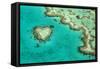 Great Barrier Reef II-Larry Malvin-Framed Stretched Canvas