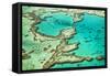 Great Barrier Reef III-Larry Malvin-Framed Stretched Canvas