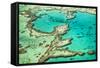 Great Barrier Reef III-Larry Malvin-Framed Stretched Canvas