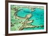 Great Barrier Reef III-Larry Malvin-Framed Photographic Print