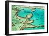 Great Barrier Reef III-Larry Malvin-Framed Photographic Print