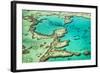 Great Barrier Reef III-Larry Malvin-Framed Photographic Print