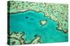 Great Barrier Reef IV-Larry Malvin-Stretched Canvas