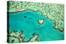 Great Barrier Reef IV-Larry Malvin-Stretched Canvas