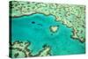 Great Barrier Reef IV-Larry Malvin-Stretched Canvas