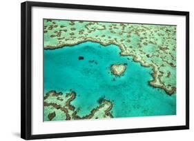 Great Barrier Reef IV-Larry Malvin-Framed Photographic Print