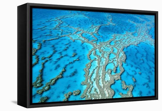 Great Barrier Reef Marine Park, Hardy Reef-null-Framed Stretched Canvas