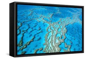Great Barrier Reef Marine Park, Hardy Reef-null-Framed Stretched Canvas