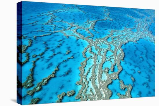 Great Barrier Reef Marine Park, Hardy Reef-null-Stretched Canvas
