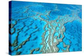 Great Barrier Reef Marine Park, Hardy Reef-null-Stretched Canvas