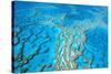 Great Barrier Reef Marine Park, Hardy Reef-null-Stretched Canvas