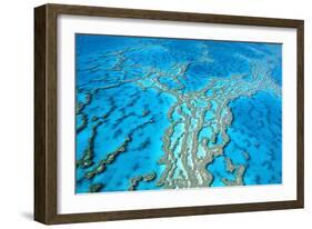 Great Barrier Reef Marine Park, Hardy Reef-null-Framed Photographic Print