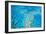 Great Barrier Reef Marine Park, Hardy Reef-null-Framed Photographic Print