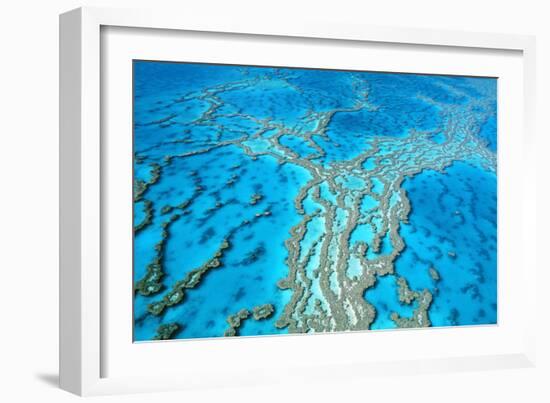 Great Barrier Reef Marine Park, Hardy Reef-null-Framed Photographic Print