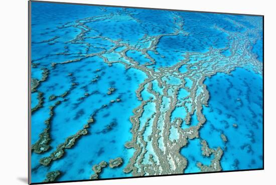 Great Barrier Reef Marine Park, Hardy Reef-null-Mounted Photographic Print