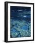 Great Barrier Reef, Queensland, Australia-Danielle Gali-Framed Photographic Print