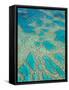 Great Barrier Reef, Queensland, Australia-Peter Adams-Framed Stretched Canvas