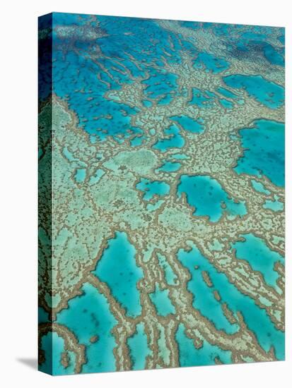 Great Barrier Reef, Queensland, Australia-Peter Adams-Stretched Canvas