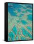 Great Barrier Reef, Queensland, Australia-Peter Adams-Framed Stretched Canvas