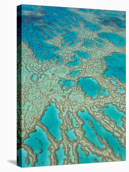 Great Barrier Reef, Queensland, Australia-Peter Adams-Stretched Canvas