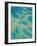 Great Barrier Reef, Queensland, Australia-Peter Adams-Framed Photographic Print