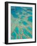 Great Barrier Reef, Queensland, Australia-Peter Adams-Framed Photographic Print