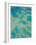 Great Barrier Reef, Queensland, Australia-Peter Adams-Framed Photographic Print