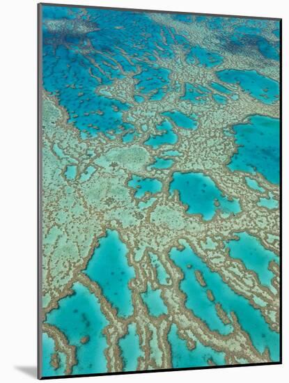 Great Barrier Reef, Queensland, Australia-Peter Adams-Mounted Photographic Print