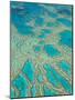 Great Barrier Reef, Queensland, Australia-Peter Adams-Mounted Photographic Print