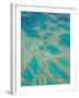 Great Barrier Reef, Queensland, Australia-Peter Adams-Framed Photographic Print