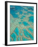 Great Barrier Reef, Queensland, Australia-Peter Adams-Framed Photographic Print