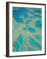 Great Barrier Reef, Queensland, Australia-Peter Adams-Framed Photographic Print