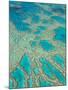 Great Barrier Reef, Queensland, Australia-Peter Adams-Mounted Photographic Print