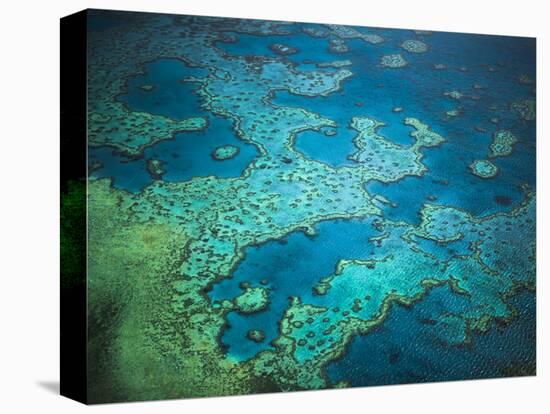 Great Barrier Reef, Queensland, Australia-Art Wolfe-Stretched Canvas
