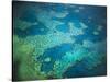 Great Barrier Reef, Queensland, Australia-Art Wolfe-Stretched Canvas