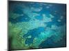 Great Barrier Reef, Queensland, Australia-Art Wolfe-Mounted Photographic Print